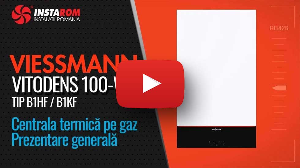 Viessmann Vitodens 100-W